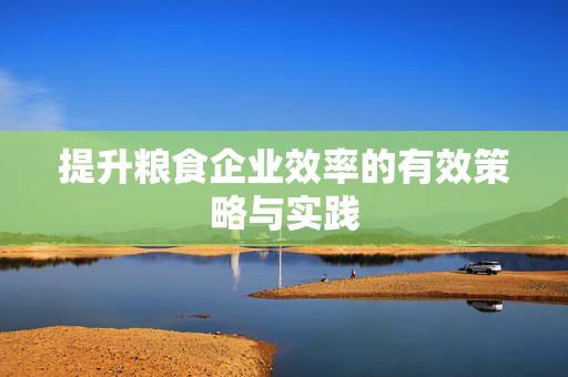 提升粮食企业效率的有效策略与实践