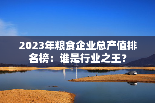 2023年粮食企业总产值排名榜：谁是行业之王？