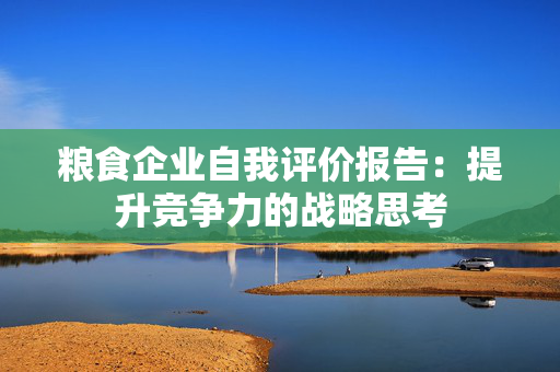 粮食企业自我评价报告：提升竞争力的战略思考
