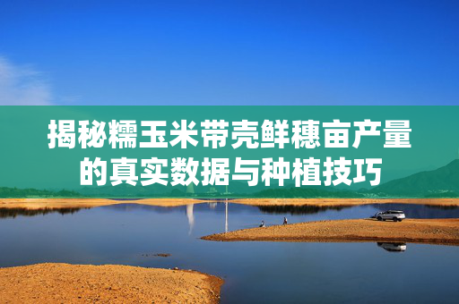揭秘糯玉米带壳鲜穗亩产量的真实数据与种植技巧