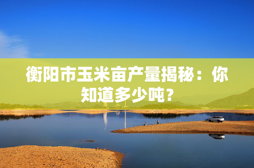 衡阳市玉米亩产量揭秘：你知道多少吨？