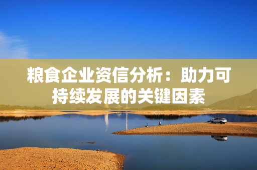 粮食企业资信分析：助力可持续发展的关键因素