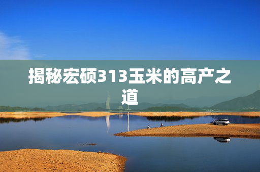 揭秘宏硕313玉米的高产之道