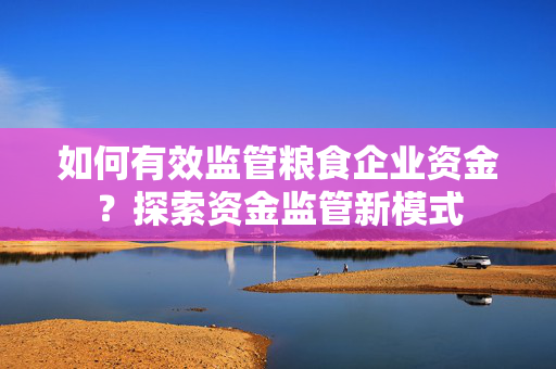 如何有效监管粮食企业资金？探索资金监管新模式