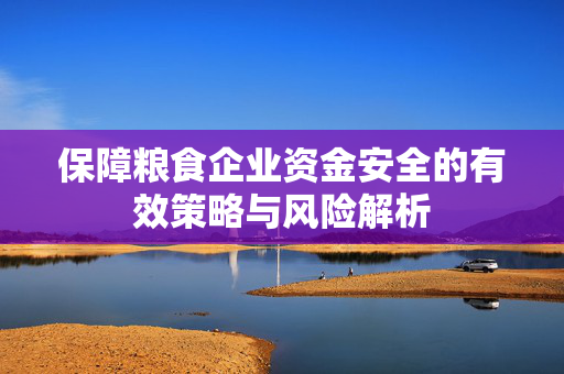 保障粮食企业资金安全的有效策略与风险解析