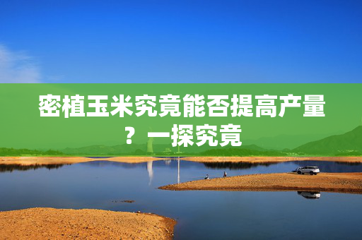 密植玉米究竟能否提高产量？一探究竟