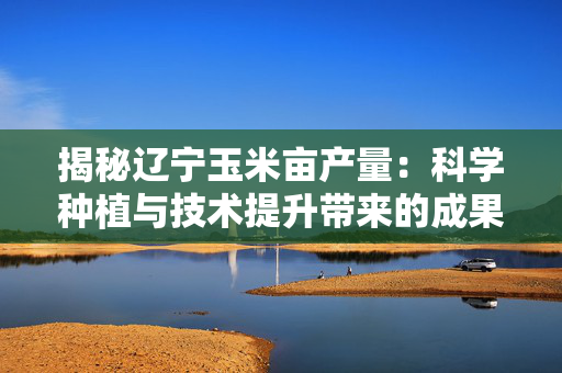 揭秘辽宁玉米亩产量：科学种植与技术提升带来的成果
