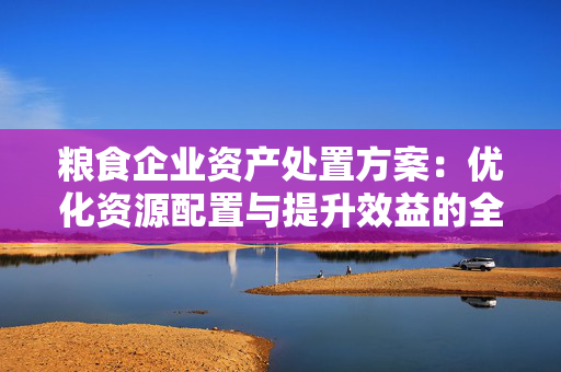 粮食企业资产处置方案：优化资源配置与提升效益的全面指南