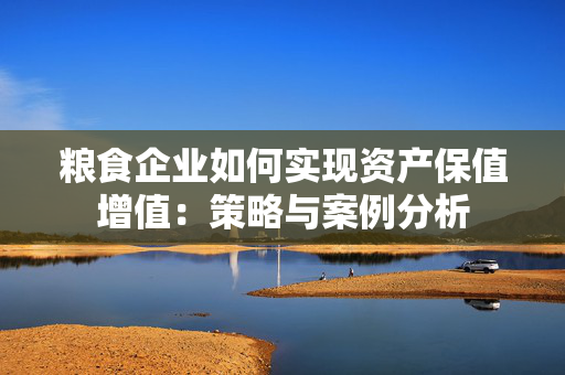 粮食企业如何实现资产保值增值：策略与案例分析