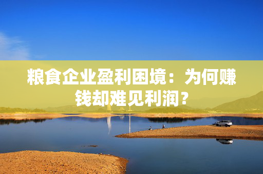 粮食企业盈利困境：为何赚钱却难见利润？