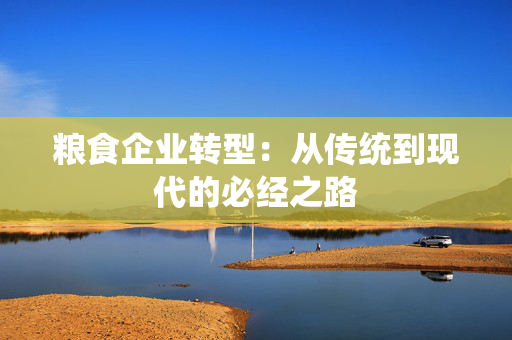 粮食企业转型：从传统到现代的必经之路