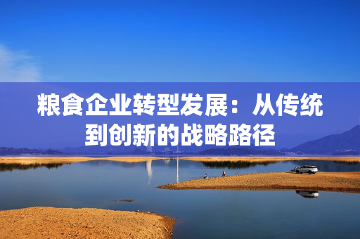 粮食企业转型发展：从传统到创新的战略路径