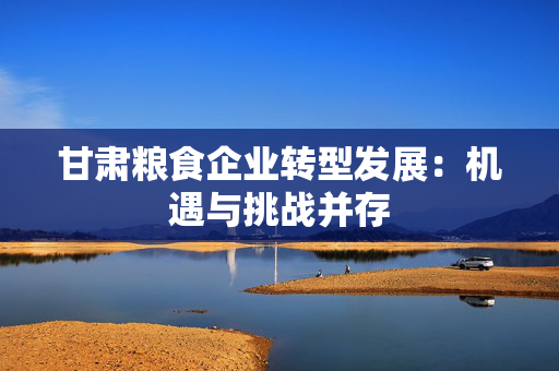 甘肃粮食企业转型发展：机遇与挑战并存