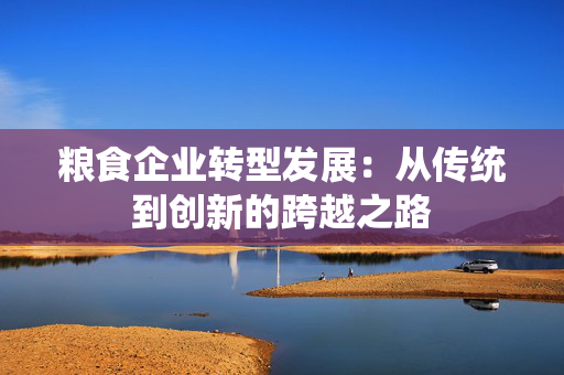 粮食企业转型发展：从传统到创新的跨越之路