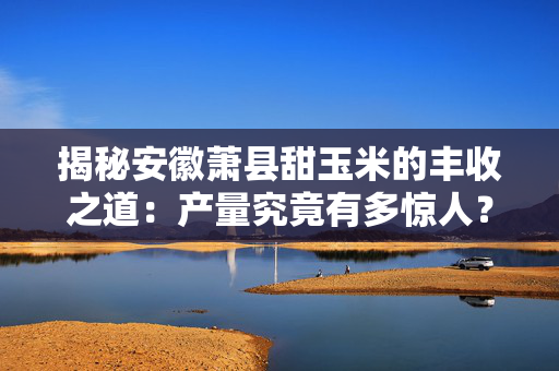 揭秘安徽萧县甜玉米的丰收之道：产量究竟有多惊人？