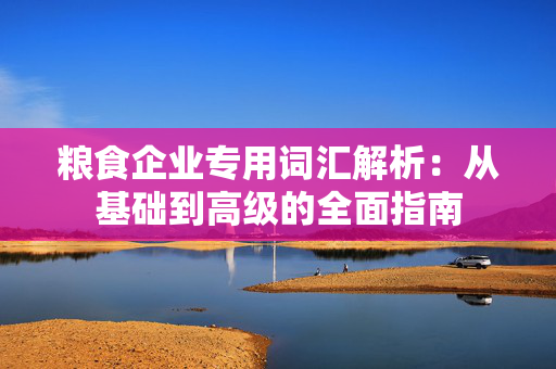 粮食企业专用词汇解析：从基础到高级的全面指南