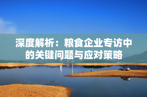 深度解析：粮食企业专访中的关键问题与应对策略