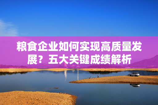 粮食企业如何实现高质量发展？五大关键成绩解析