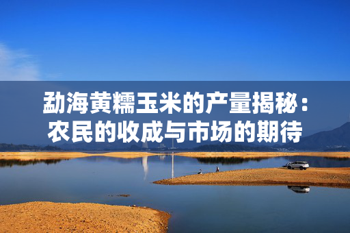 勐海黄糯玉米的产量揭秘：农民的收成与市场的期待