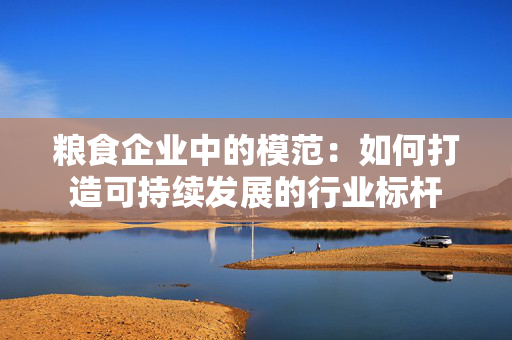粮食企业中的模范：如何打造可持续发展的行业标杆