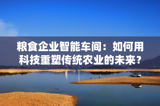 粮食企业智能车间：如何用科技重塑传统农业的未来？