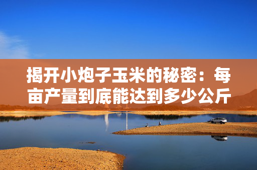 揭开小炮子玉米的秘密：每亩产量到底能达到多少公斤？