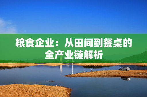 粮食企业：从田间到餐桌的全产业链解析