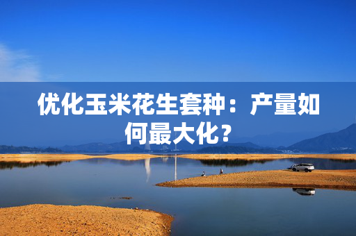 优化玉米花生套种：产量如何最大化？