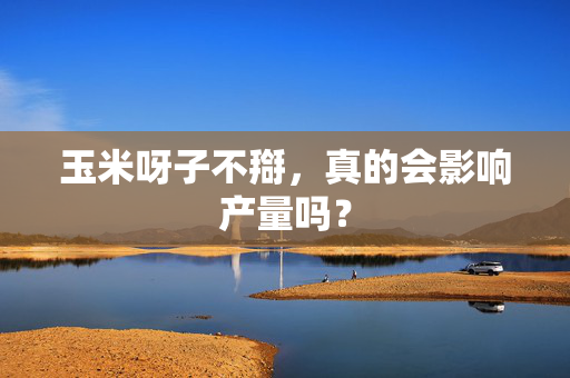 玉米呀子不搿，真的会影响产量吗？