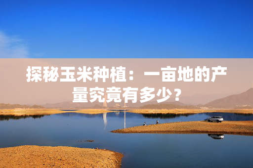 探秘玉米种植：一亩地的产量究竟有多少？
