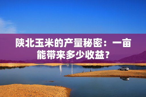 陕北玉米的产量秘密：一亩能带来多少收益？