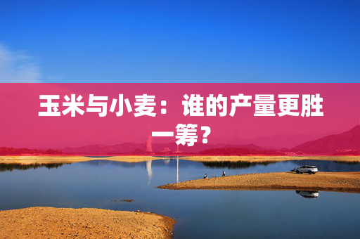 玉米与小麦：谁的产量更胜一筹？