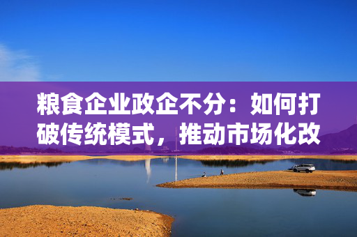粮食企业政企不分：如何打破传统模式，推动市场化改革？
