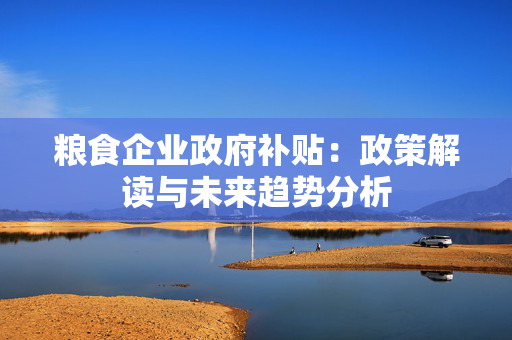 粮食企业政府补贴：政策解读与未来趋势分析