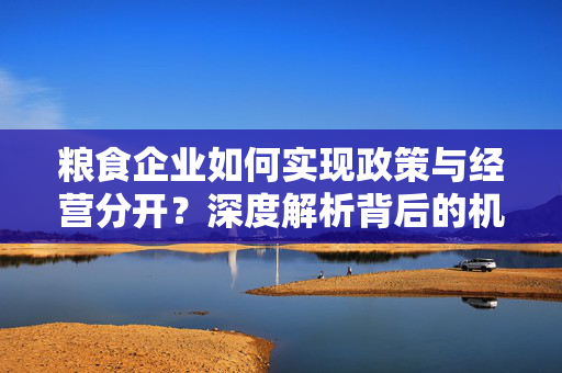 粮食企业如何实现政策与经营分开？深度解析背后的机遇与挑战