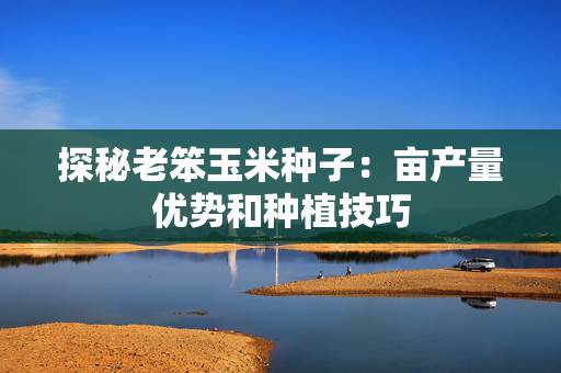 探秘老笨玉米种子：亩产量优势和种植技巧