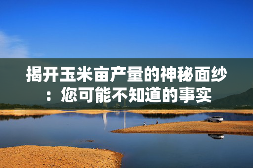 揭开玉米亩产量的神秘面纱：您可能不知道的事实