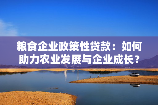 粮食企业政策性贷款：如何助力农业发展与企业成长？