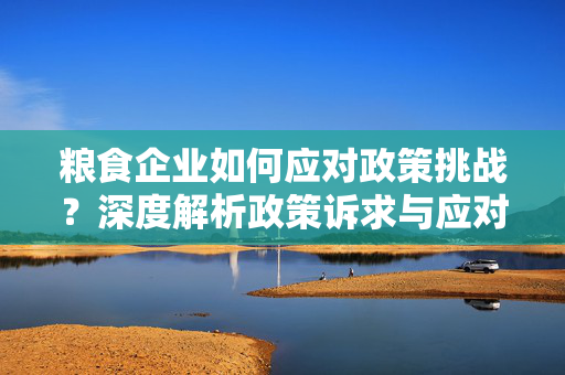 粮食企业如何应对政策挑战？深度解析政策诉求与应对策略