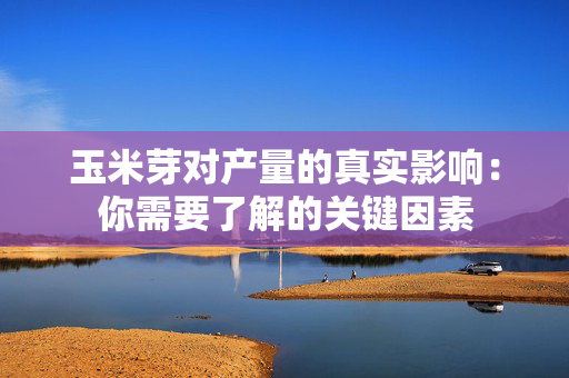 玉米芽对产量的真实影响：你需要了解的关键因素