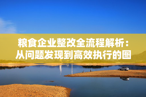 粮食企业整改全流程解析：从问题发现到高效执行的图表指南