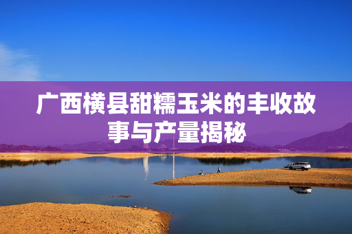广西横县甜糯玉米的丰收故事与产量揭秘