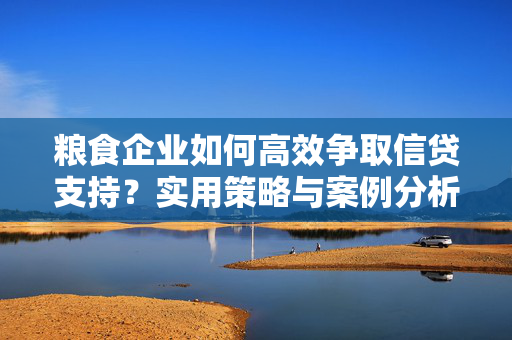 粮食企业如何高效争取信贷支持？实用策略与案例分析
