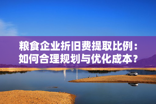 粮食企业折旧费提取比例：如何合理规划与优化成本？