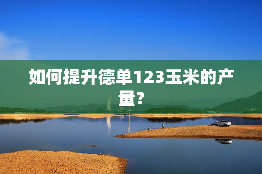 如何提升德单123玉米的产量？