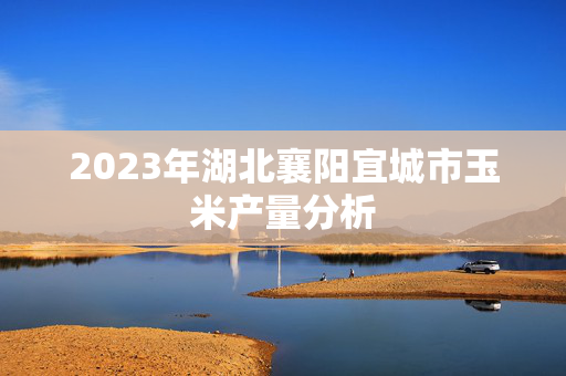 2023年湖北襄阳宜城市玉米产量分析