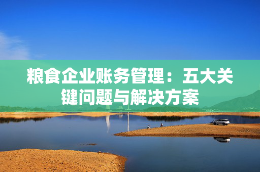 粮食企业账务管理：五大关键问题与解决方案
