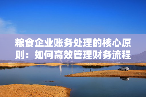 粮食企业账务处理的核心原则：如何高效管理财务流程？