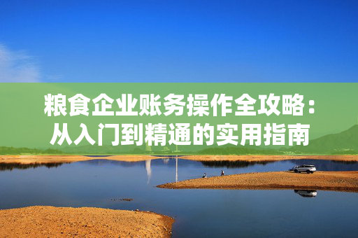 粮食企业账务操作全攻略：从入门到精通的实用指南