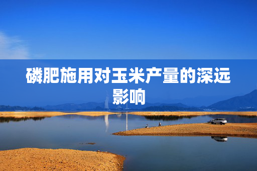 磷肥施用对玉米产量的深远影响